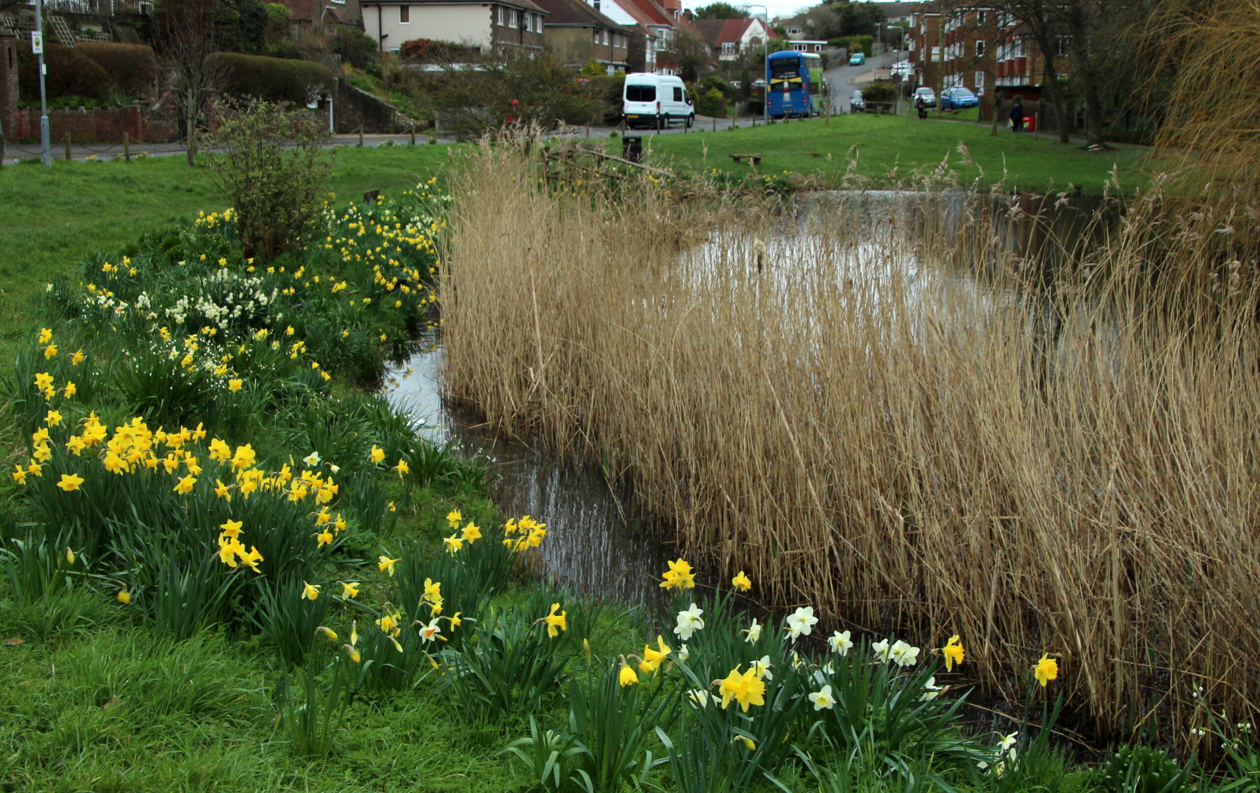 Read more about the article Friends of local green spaces