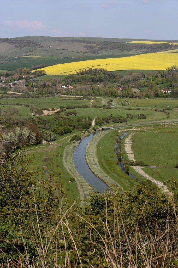 Cuckmere valley