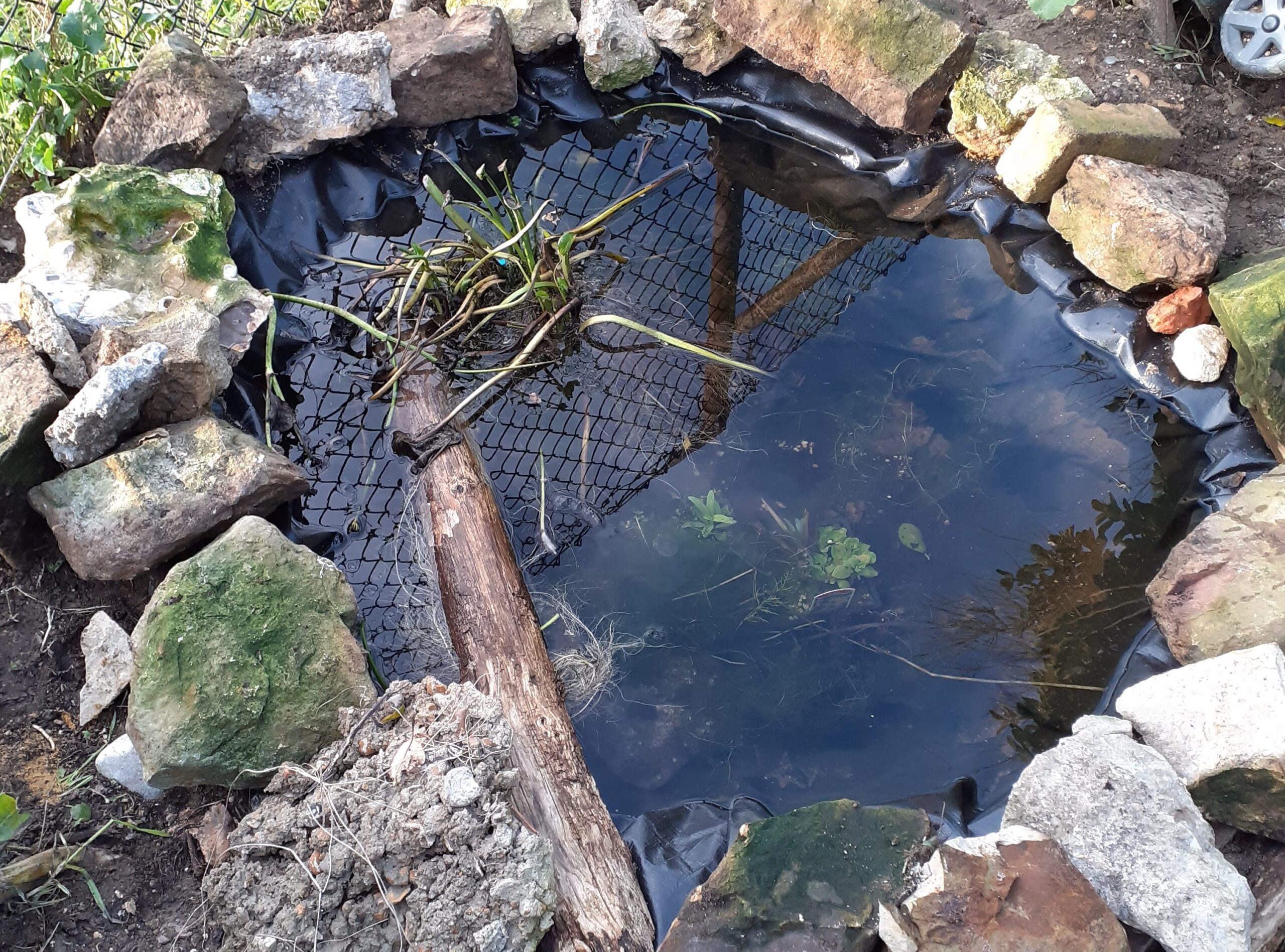 Read more about the article A new pond for wildlife