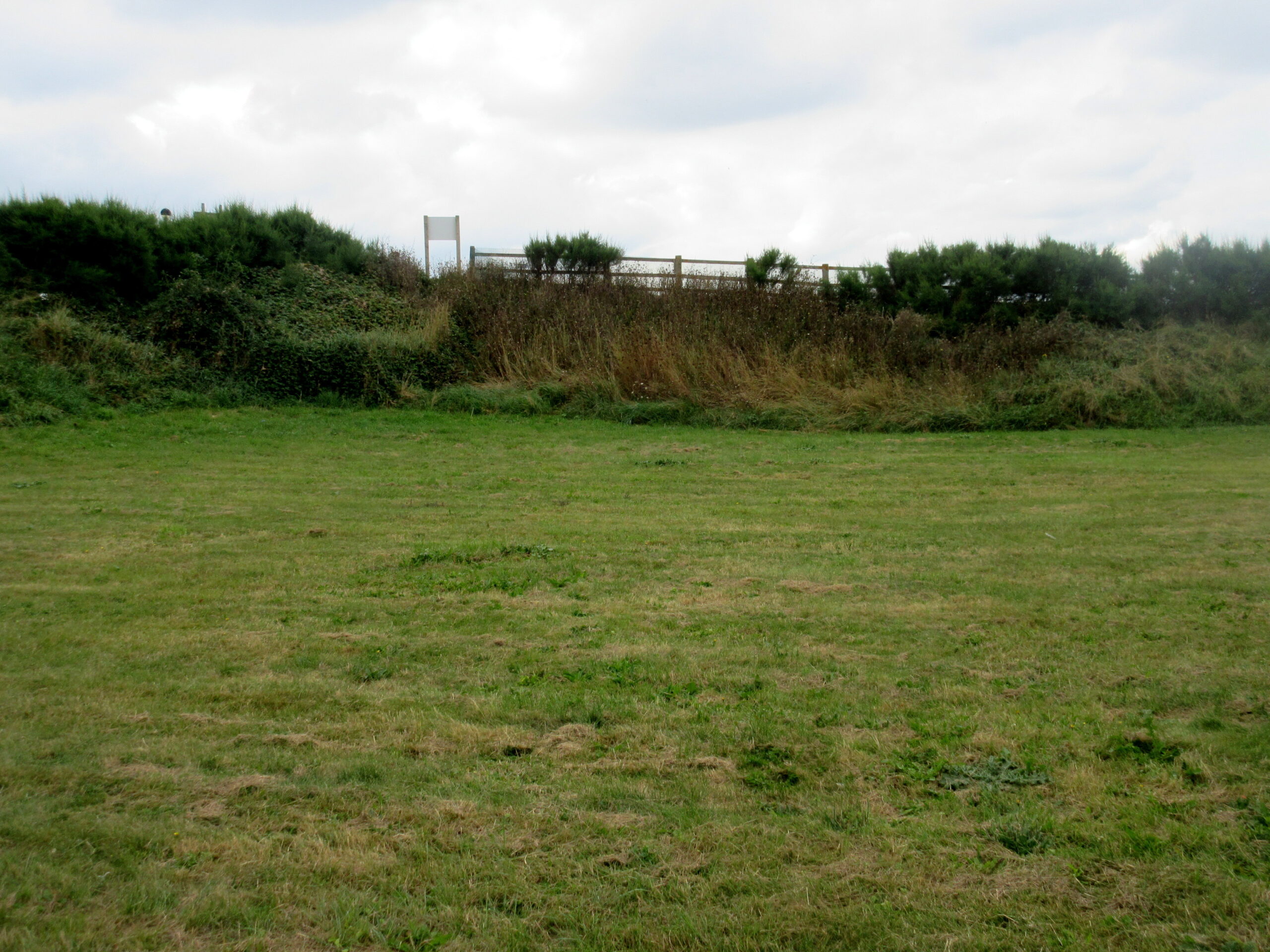 Read more about the article Cliff Gardens Project – the Pump field