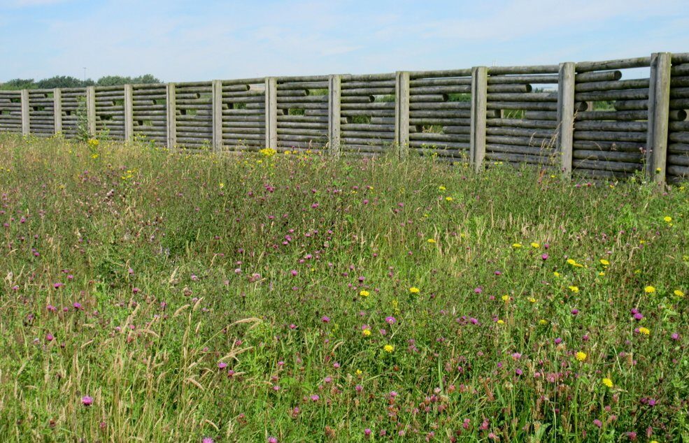 Read more about the article SNHS at Ouse Valley Nature Reserve