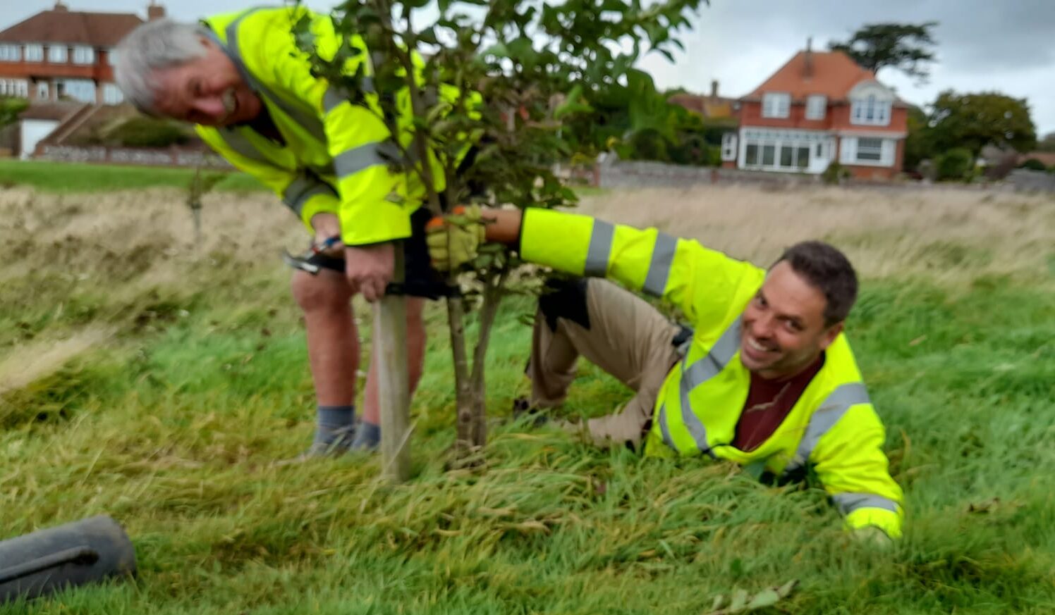 Read more about the article Volunteer tree diggers needed!