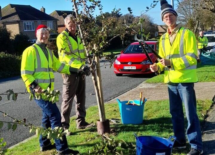 Read more about the article Trees for Seaford December update