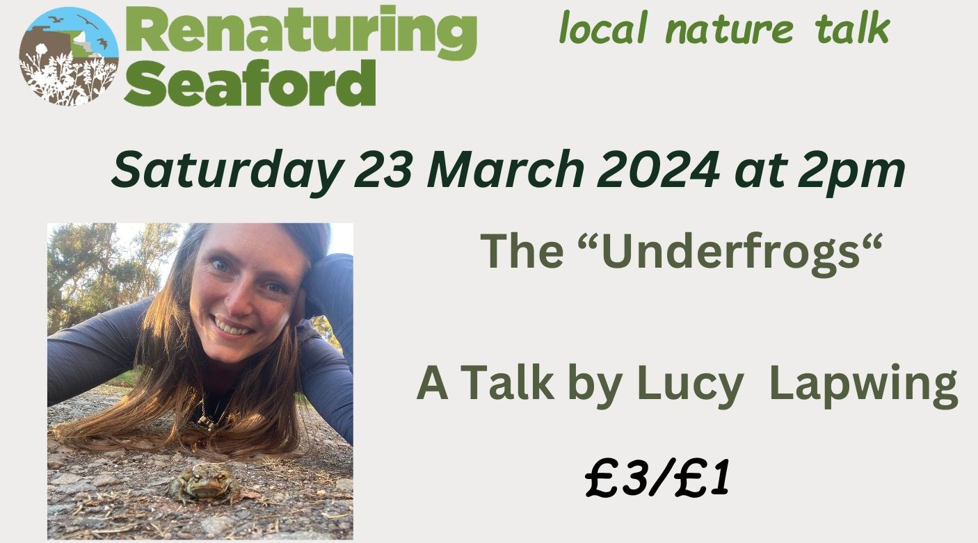 Read more about the article The “Underfrogs” by Lucy Lapwing