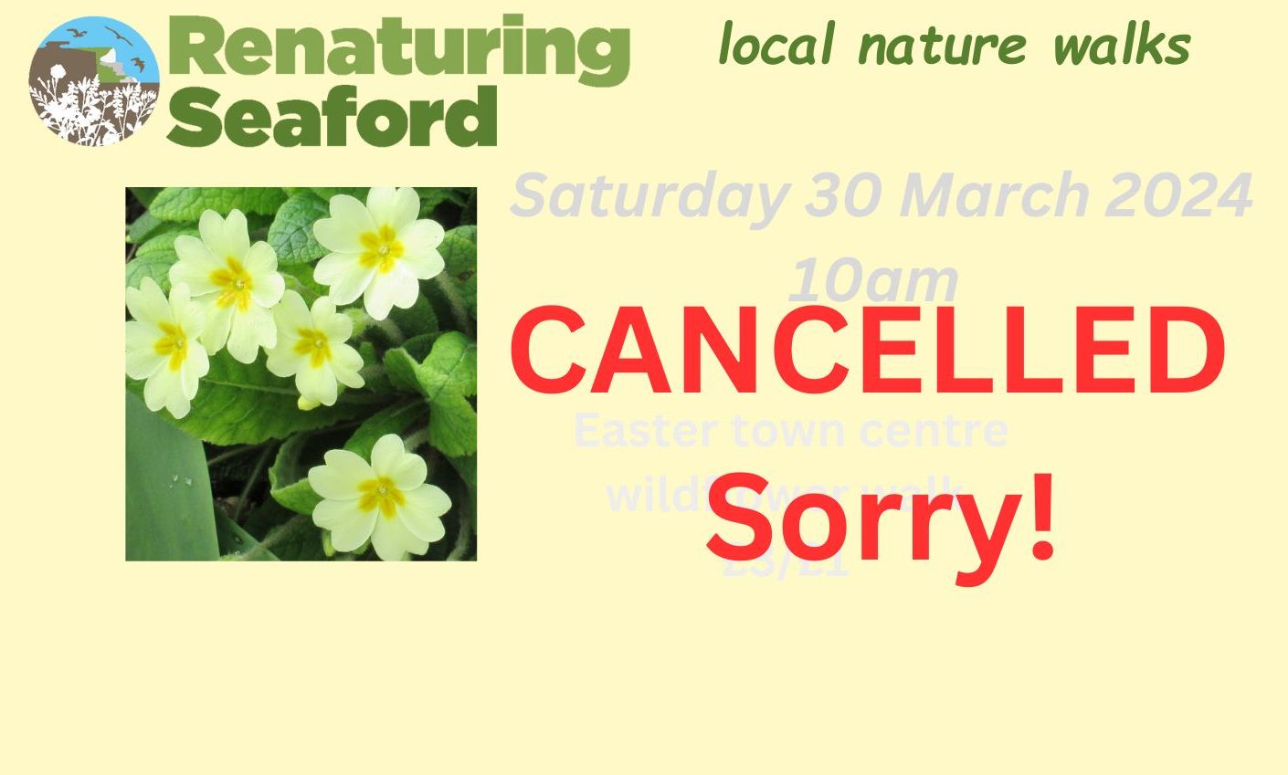 You are currently viewing Easter plant count in Seaford