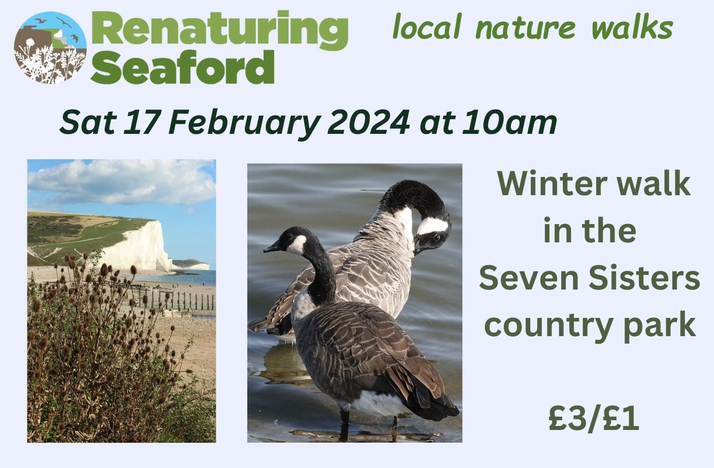 You are currently viewing Winter walk in the country park 17 February