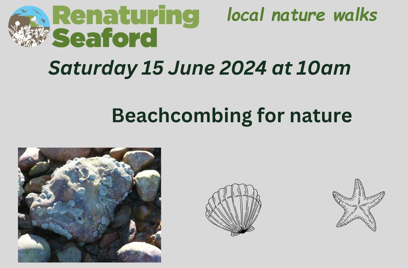 You are currently viewing Beachcombing for nature