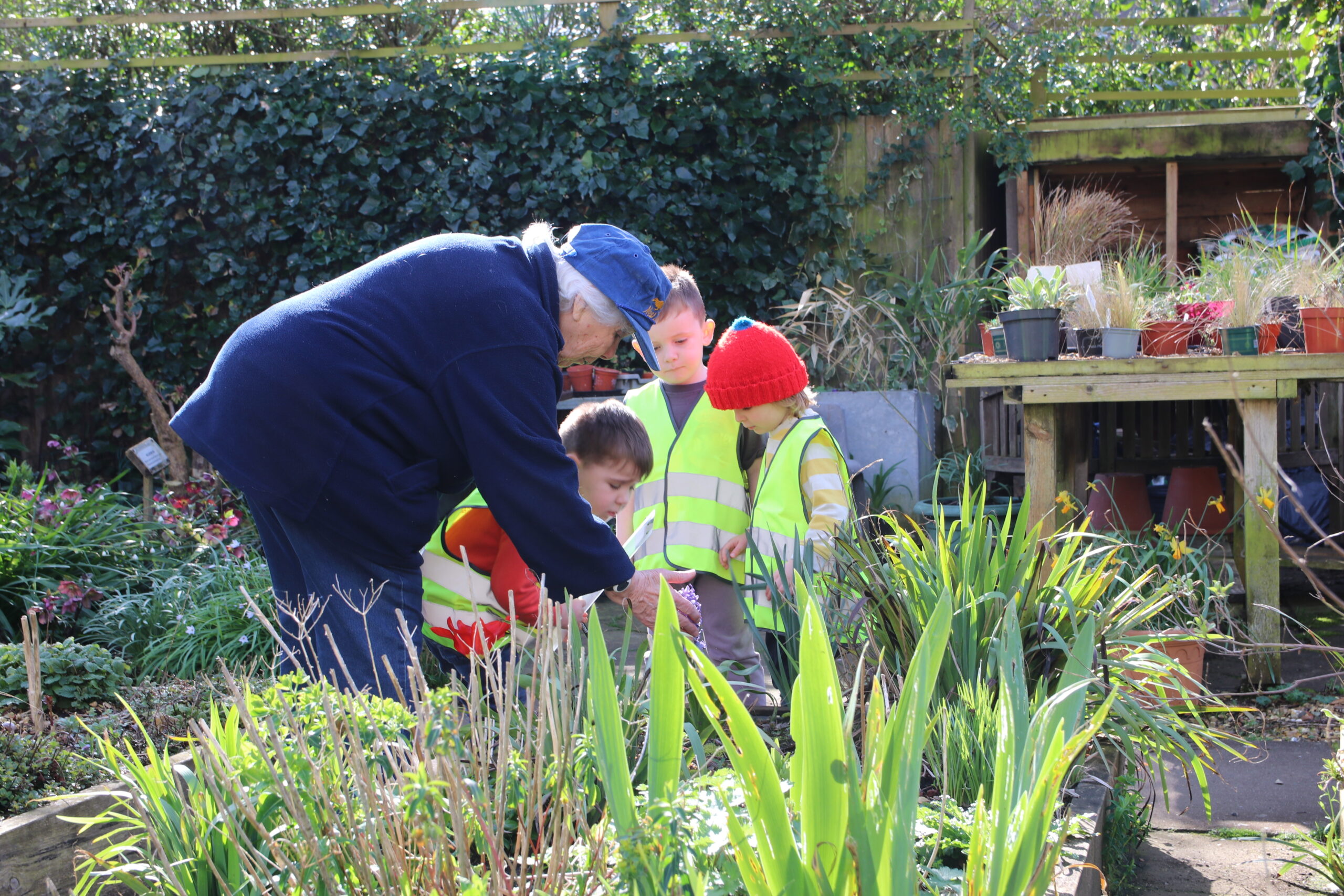 Read more about the article Backstage at the Community Garden