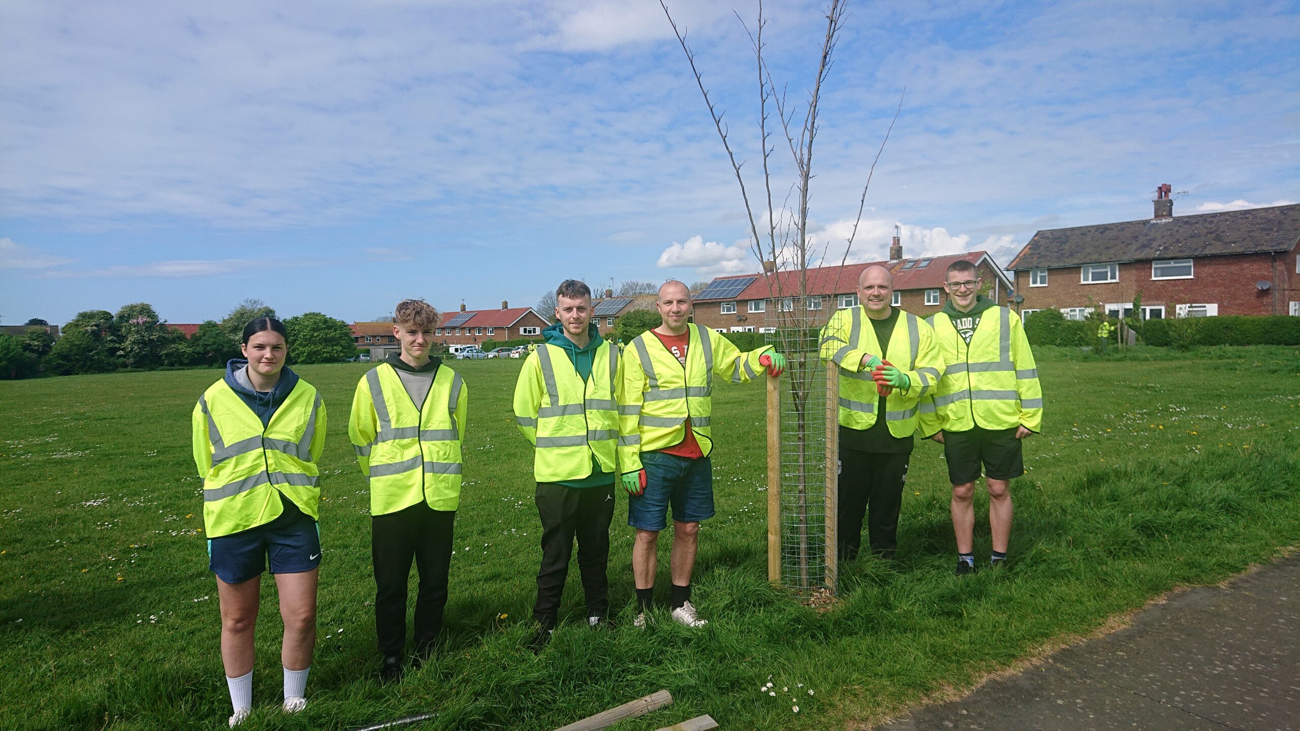 Read more about the article Trees for Seaford – June 24