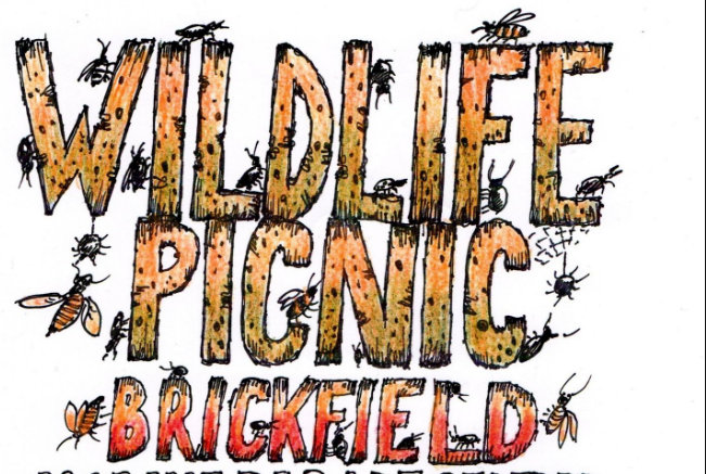 Read more about the article Brickfield picnic 2023