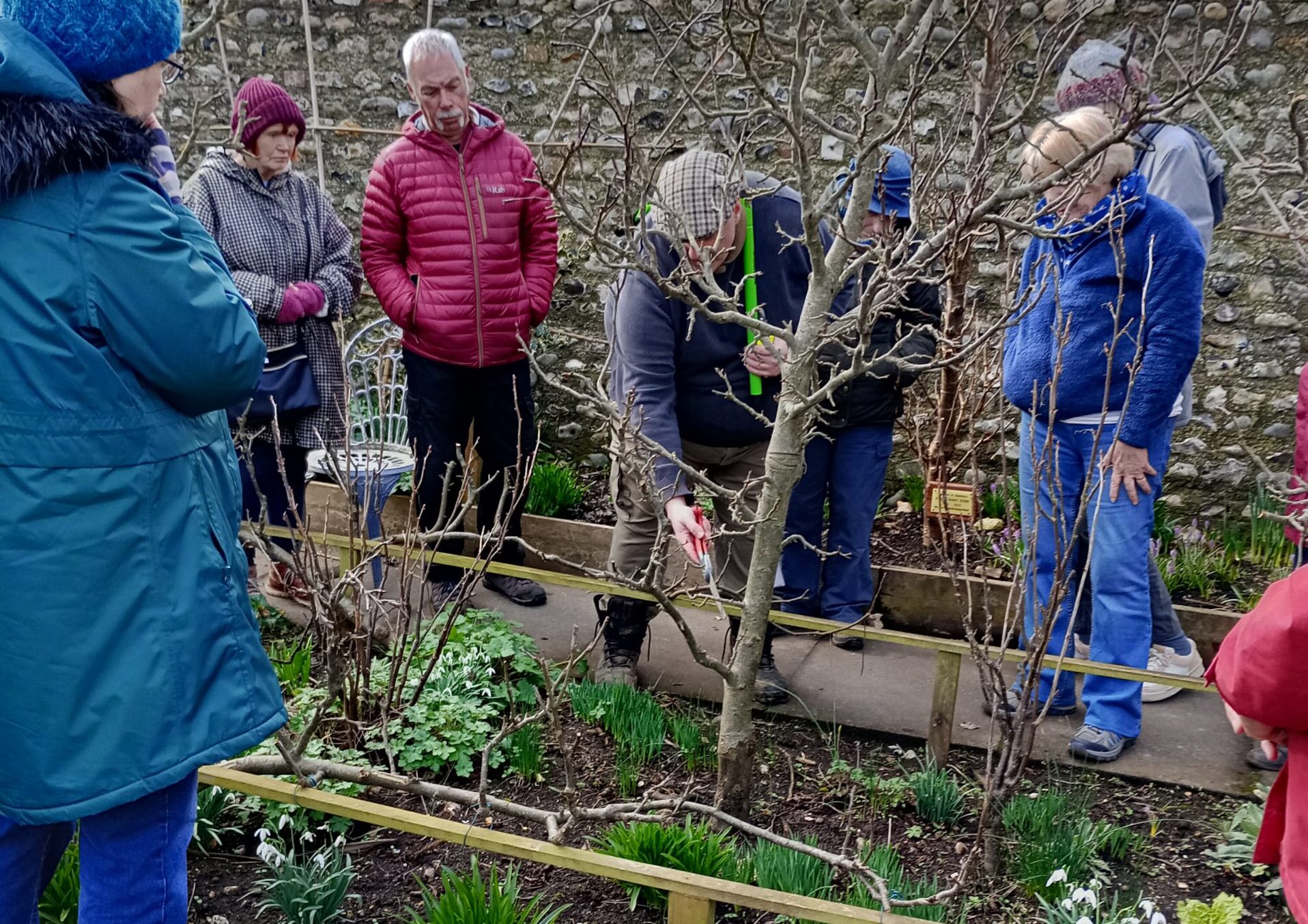 Read more about the article Community or Garden?